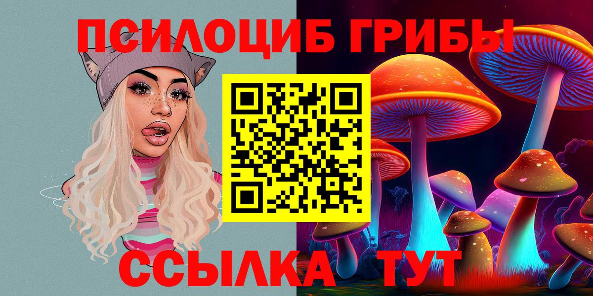 Псилоцибиновые грибы мухоморы  цена наркотик  Гатчина  Вход с VPN  Псилоцибиновые грибы мицелий 