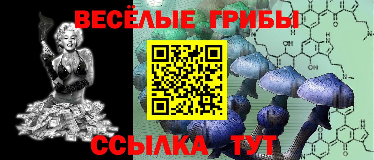 Галлюциногенные грибы GOLDEN TEACHER Гатчина